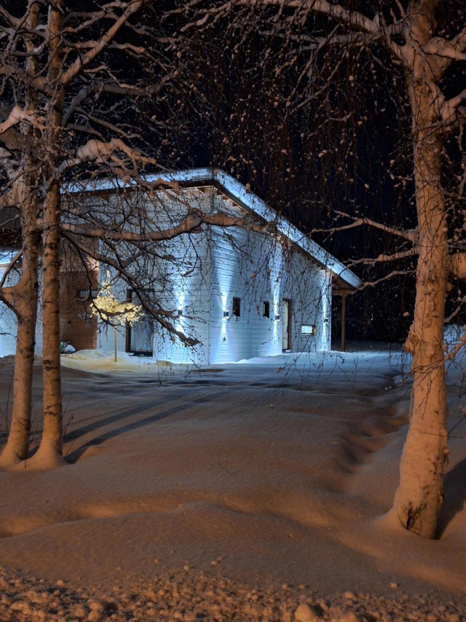 Villa Arctic Light Rovaniemi Extérieur photo